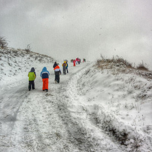 El camino de la soledad lo recorremos todos