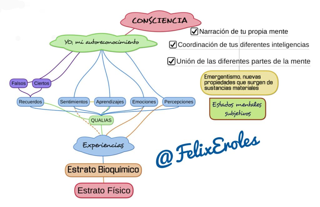 Génesis de la consciencia