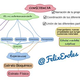 Génesis de la consciencia y qué podemos esperar