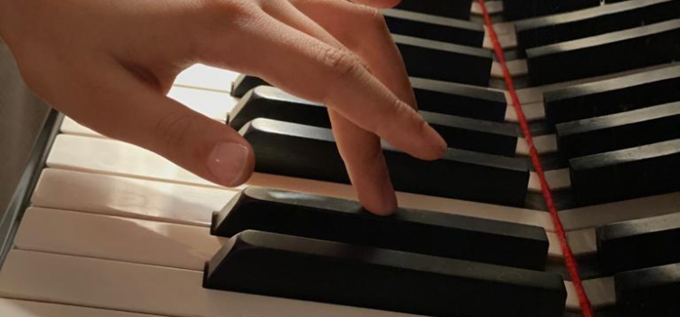 Seguridad o libertad: Paz Maquiavélica